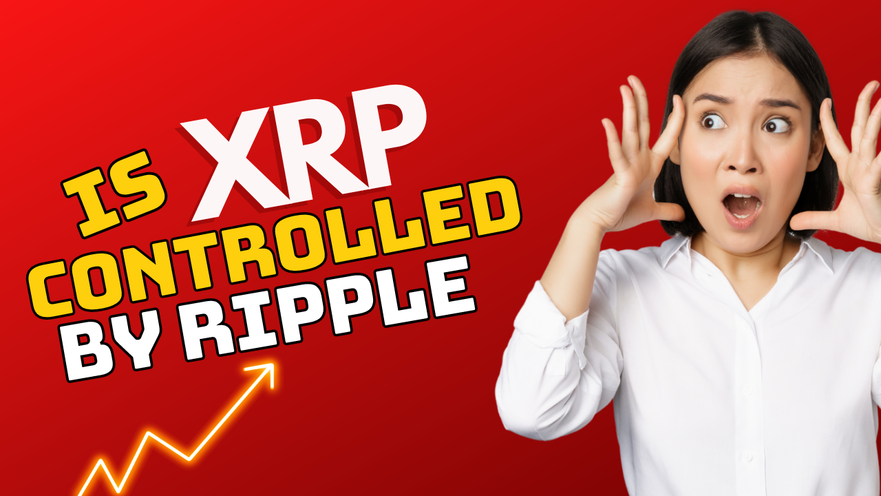 Is XRP Controlled by Ripple? Elizabeth Warren Was Right - Terrorist Do Use Crypto