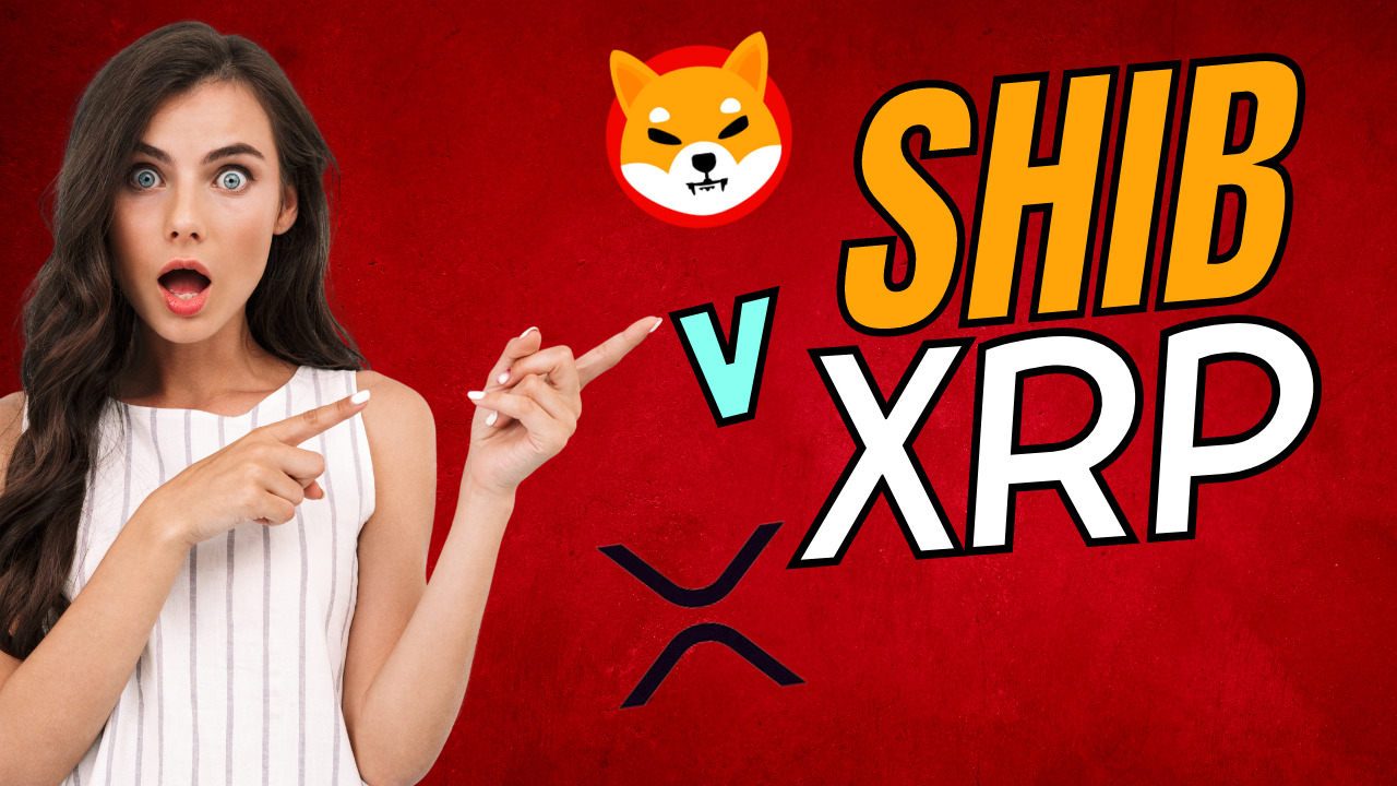 SHIB vs XRP: The Truth Behind the Crypto Giants - Badass Yetis an xSPECTAR Official Launch Partner