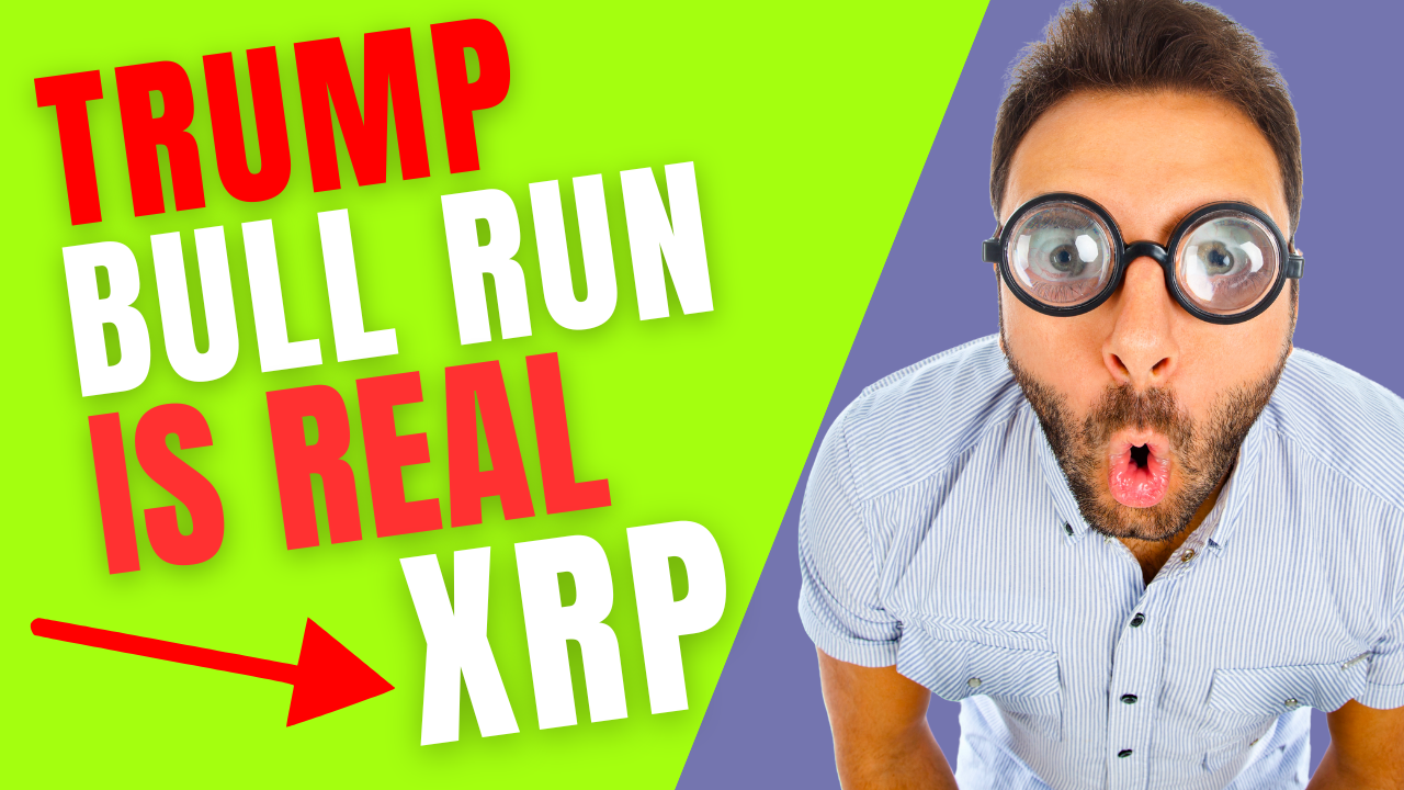 Ripple/ XRP: Garlinghouse: The Trump Bull Run is Real