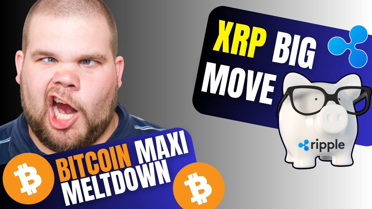 Bitcoin Maxi Meltdown – XRP’s Big Move With Institutions