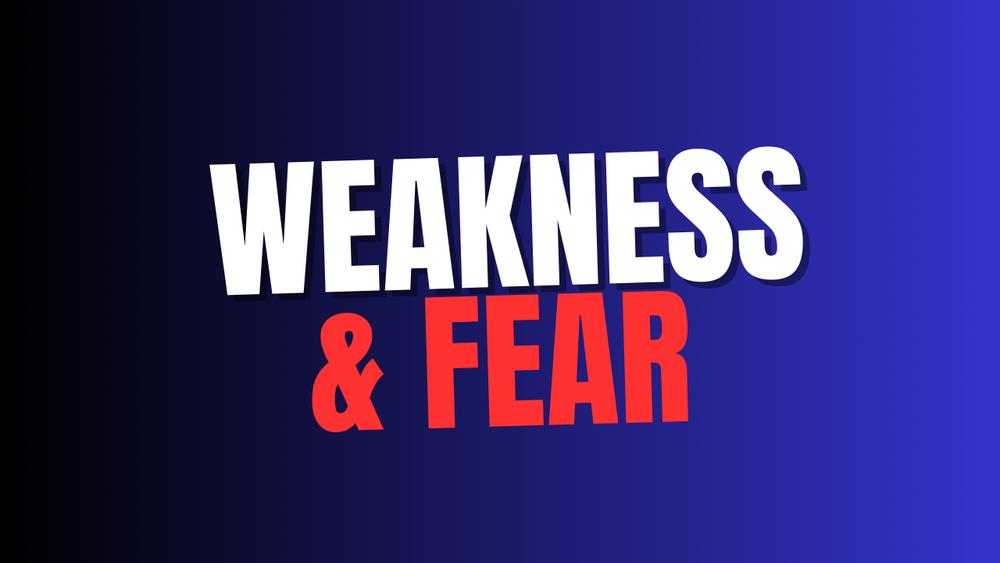 Weakness in the U.S. - Breeding Ground for Terrorism and Fascism?