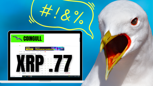 XRP - SEC - Crypto Is a Major Concern for Banks and Congress