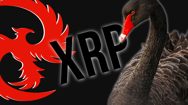 XRP - Cryptocurrency RISES - Financial Security - Ukraine - SWIFT - Russia - Canada - Black Swan