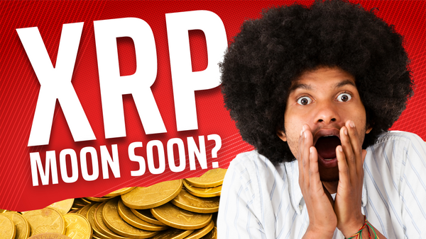 SEC Slapdown Is A Wake-Up Call To Congress - Jed, No More Taco Stand - Flare Update